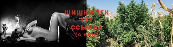 твердый Нефтегорск
