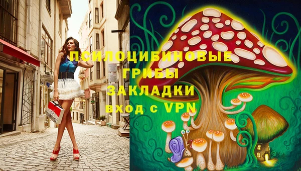 твердый Нефтегорск