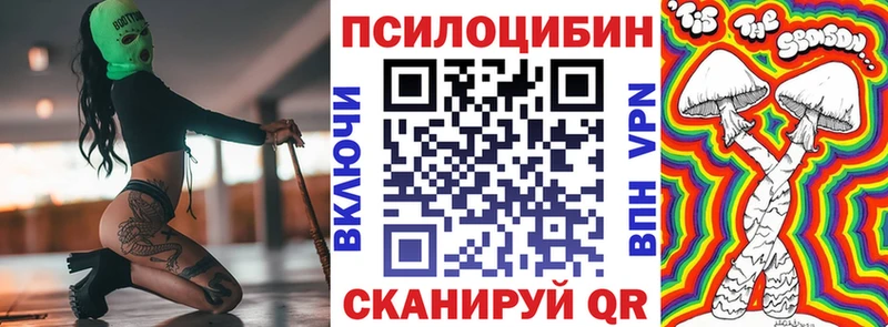 наркота  Нижний Ломов  Галлюциногенные грибы Psilocybe 